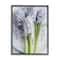 Stupell Industries Lilac Floral Still Life Photography Spring Country Flowers Framed Wall Art